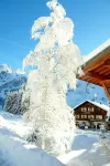 Comfortable studio for 3 people on the edge of the ski slopes at La Clusaz