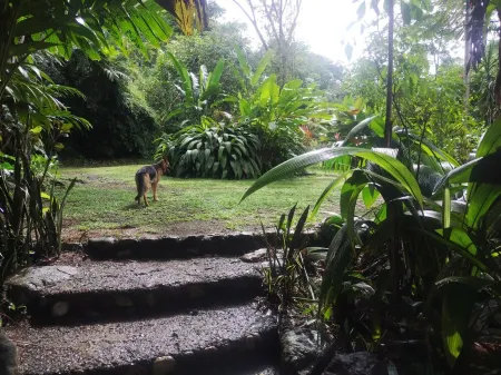 5 Bedroom, 3 level Treehouse Style Home near Corcovado National Park, and Beach.