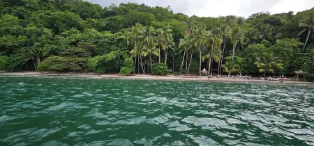 Tranquil Tides Costa Rica - Private Pool Отели в г. Тамбор