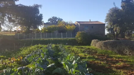 Independent MAS in the middle of vineyards in St Pons de Mauchiens, 10 km from Pézenas