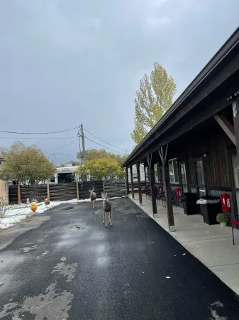 CORRAL VILLAS<br>Deluxe studios in the north entrance to Yellowstone Отели в г. Гардинер