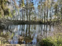 Idyllic House by Lake at the Gateway to the Dordogne (Périgord) Hôtels à : Ladignac-le-Long