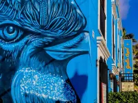 Gallo Azul Hotel, en El corazón de Todos Santos - boutique