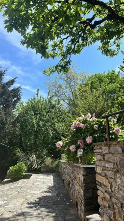 Aleka's House Отели в г. Tsagkarada