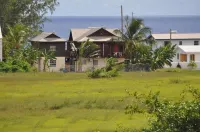 Green Garden Apartment - Wifi