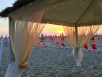Hotel Playa - Beach