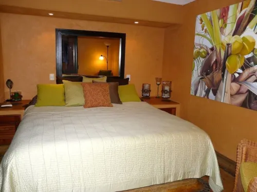 Beautiful 1 bedroom Condo above La Ropa Beach Hotels in Zihuatanejo
