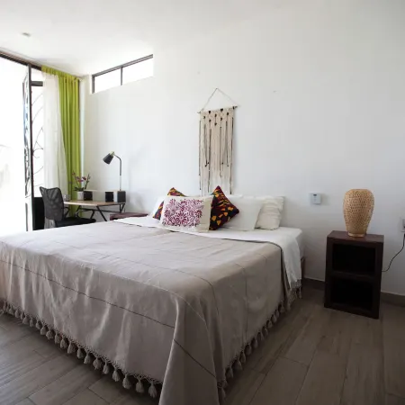 Casa Fenix