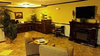 Cochran Inn & Suites - Motels