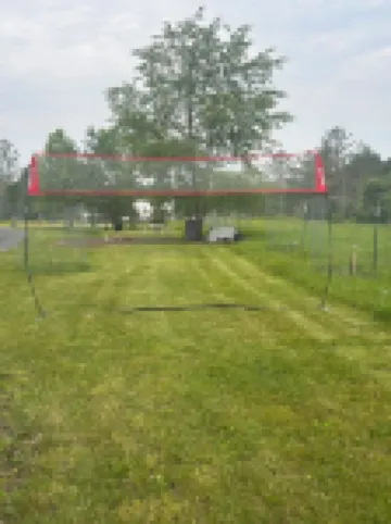 Cabin-style tiny home along best elk viewing road Hotels in Elk County