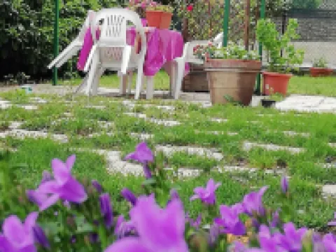 B&B Il Cedro Hotels in Foligno