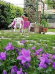 B&B Il Cedro Отели в г. 