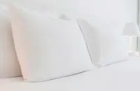 DoubleTree by Hilton Concord Downtown Hotels in Concord