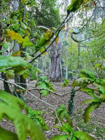 Duerming Ria de Viveiro Отели в г. Ла-Мариния-Оксиденталь