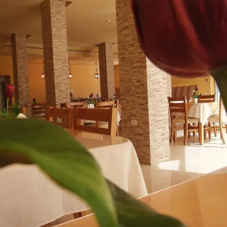 Mosaic City Hotel