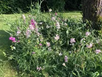 October House Holiday Cabin