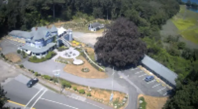 Castle Manor Inn