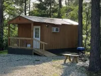 Handicap-Accessible Cabin Near Kirby Landing & Lake Greeson – Pet-Friendly Hotels in Pike County