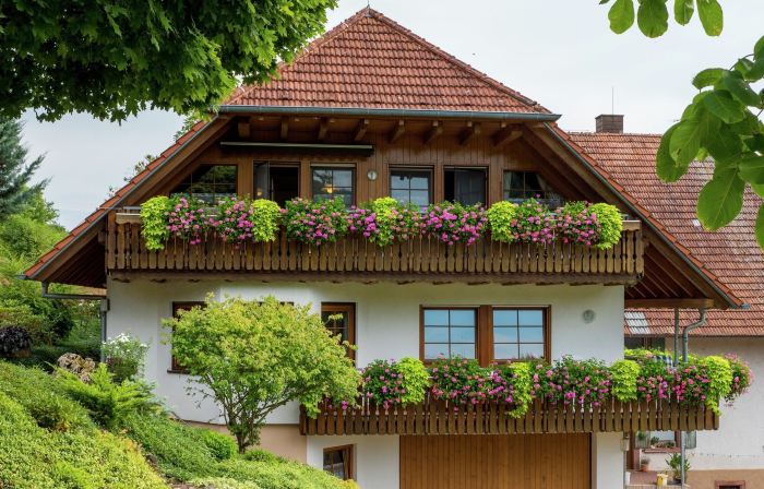 Gemütliche Ferienwohnung im Schwarzwald