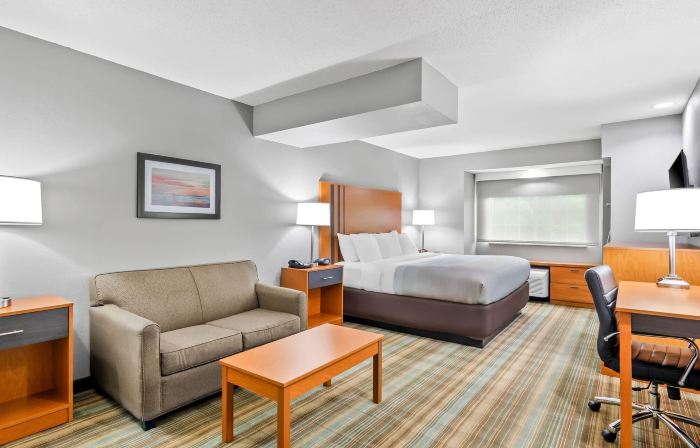 Quality Inn & Suites I-81 Exit 7