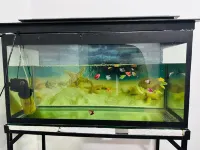 Family-friendly Villa - 5min from the beach