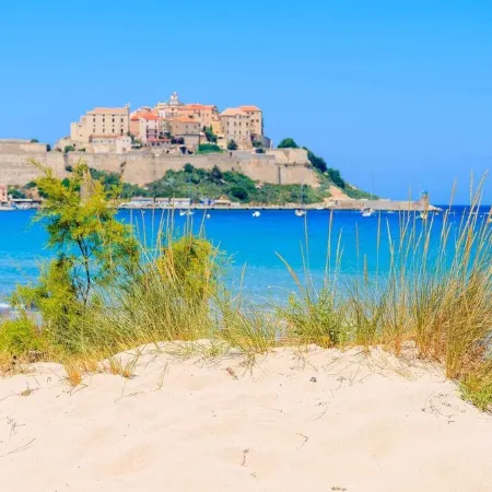 Calvi - Studio 4 pers with garden in the pinewood - 200 m from its magnificent beach