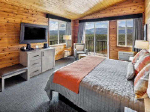 デナリ ブラフス ホテル デナリのホテル