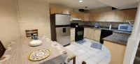 Rental Basement Apartment. Great location, parking, separate entrance, private.