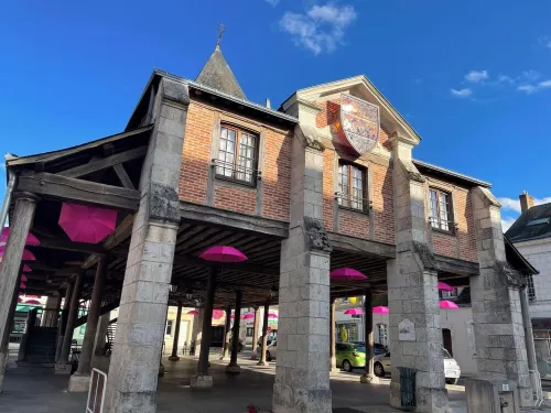 In Sologne, family home with garden near Chambord castle and forests Hotels in Bracieux