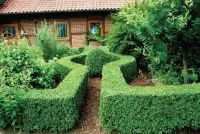 Apartment near Bird Park Hotels in Bomlitz