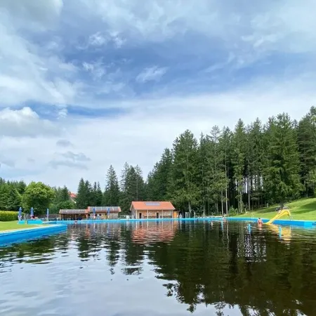 Exclusive 5-star Waldperle apartment Indoor pool, sauna, fantastic view