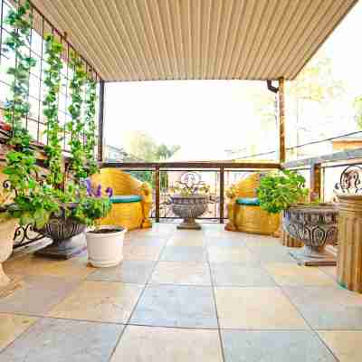 Barokko Terrassa in the Center of Poltava, Alex Apartments Hotel Exterior