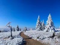 Terrace Retreat in Winterberg - 2-Star