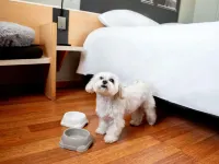 宜必思波茲南老城飯店 波茲南住宿飯店