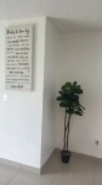 BOOK ME, 3mins to Hard Rock Stadium Hotels in Miami Gardens