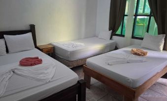 Cabinas Tortuguero Natural