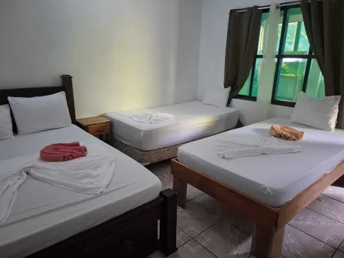 Cabinas Tortuguero Natural