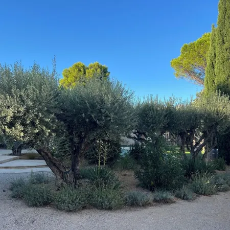 Fantastic private villa with heated saltwater pool in Provence