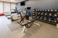 Hampton Inn Manassas - Træningscentre