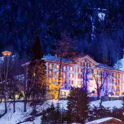 阿爾卑斯山泉公寓 Hotel Exterior