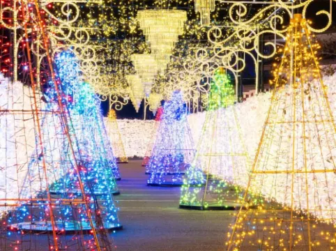 御殿場高原 時之栖 ホテル周辺 Photos