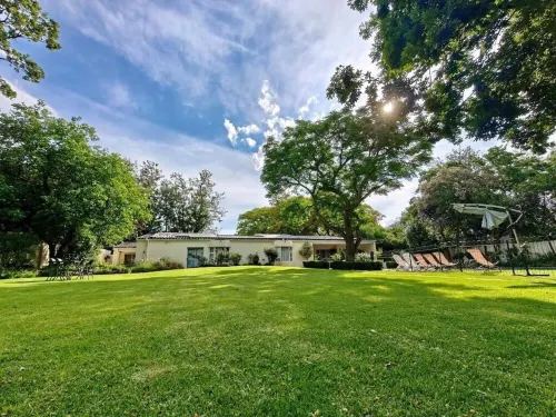 Luxury Cottage into Nature in Sandton, peaceful place with full of nature