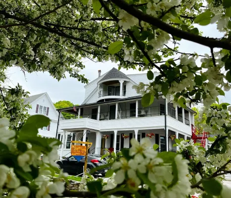 Queen Anne's Revenge