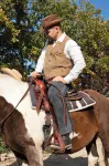 Agriturismo L'Uliveto Equestre