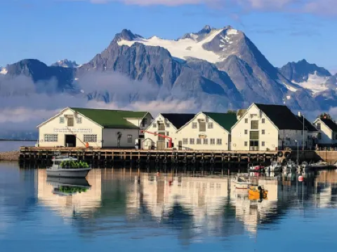 Arctic Panorama Lodge Hotels in 