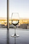 Hyatt Regency Denver at Colorado Conv Ct - Mountain view