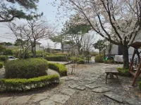 Daebudo Blue Island Camping Site