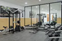 H10 Tindaya - Gym