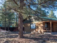 Spacious Family Friendly Cozy Cabin Hotels in South Fork