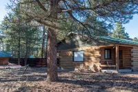 Spacious Family Friendly Cozy Cabin